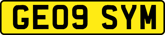 GE09SYM