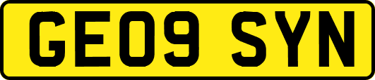 GE09SYN
