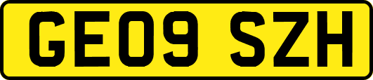 GE09SZH
