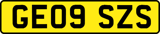 GE09SZS