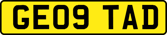 GE09TAD