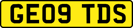 GE09TDS
