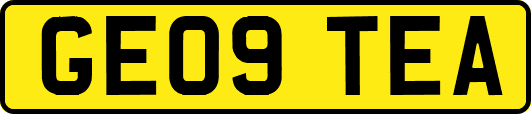 GE09TEA