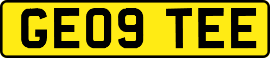 GE09TEE