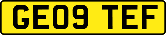 GE09TEF