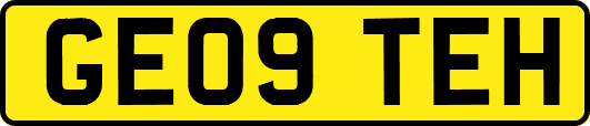 GE09TEH