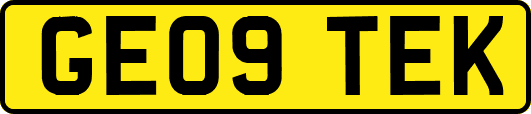 GE09TEK