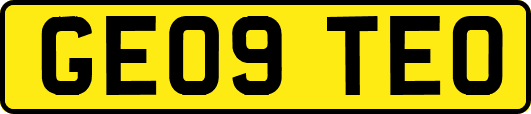 GE09TEO
