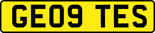 GE09TES