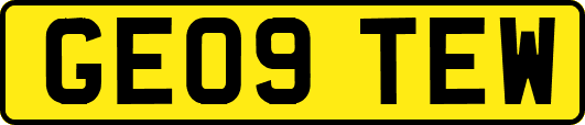 GE09TEW