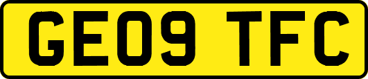 GE09TFC