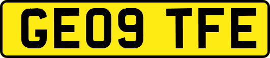 GE09TFE