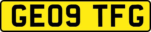 GE09TFG