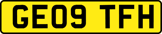 GE09TFH