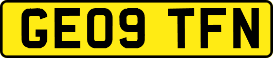 GE09TFN