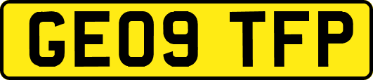 GE09TFP