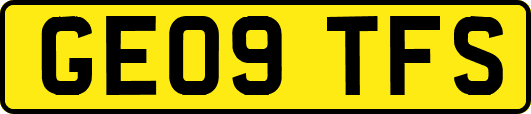 GE09TFS