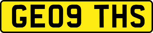 GE09THS