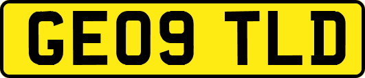GE09TLD