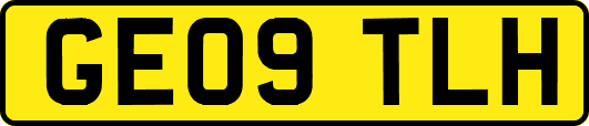 GE09TLH
