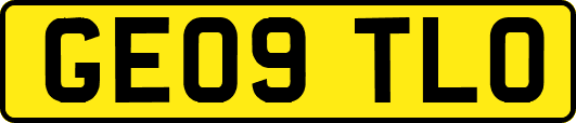 GE09TLO
