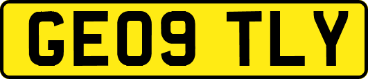 GE09TLY