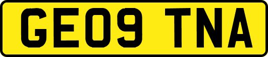 GE09TNA