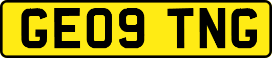 GE09TNG
