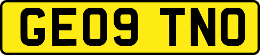 GE09TNO