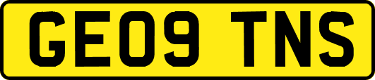 GE09TNS