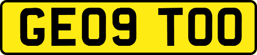 GE09TOO