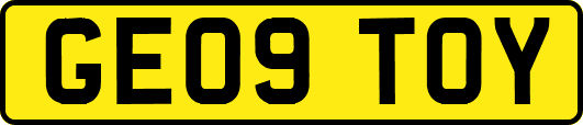 GE09TOY