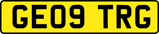 GE09TRG