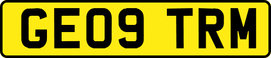 GE09TRM