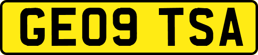 GE09TSA