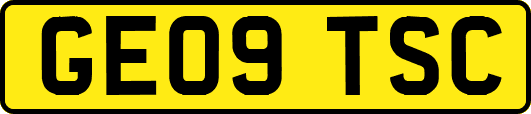 GE09TSC