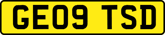 GE09TSD