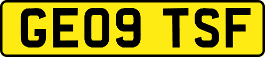GE09TSF