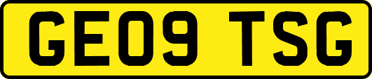 GE09TSG