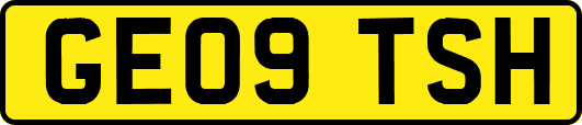 GE09TSH