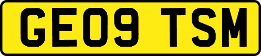 GE09TSM