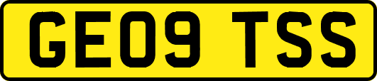 GE09TSS