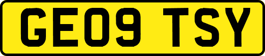 GE09TSY