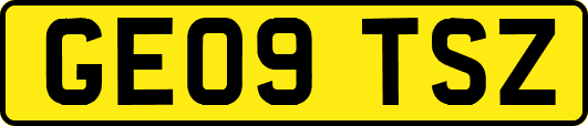 GE09TSZ