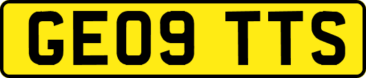 GE09TTS