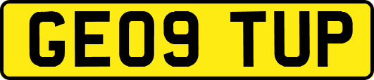 GE09TUP