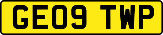 GE09TWP