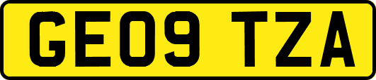 GE09TZA