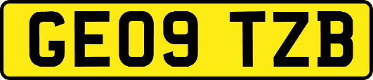 GE09TZB