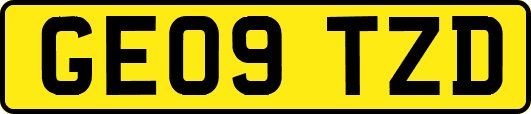 GE09TZD